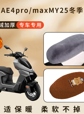 适用极核AE4pro/maxMY25加厚加绒毛座套后座椅套子冬季坐垫保护罩