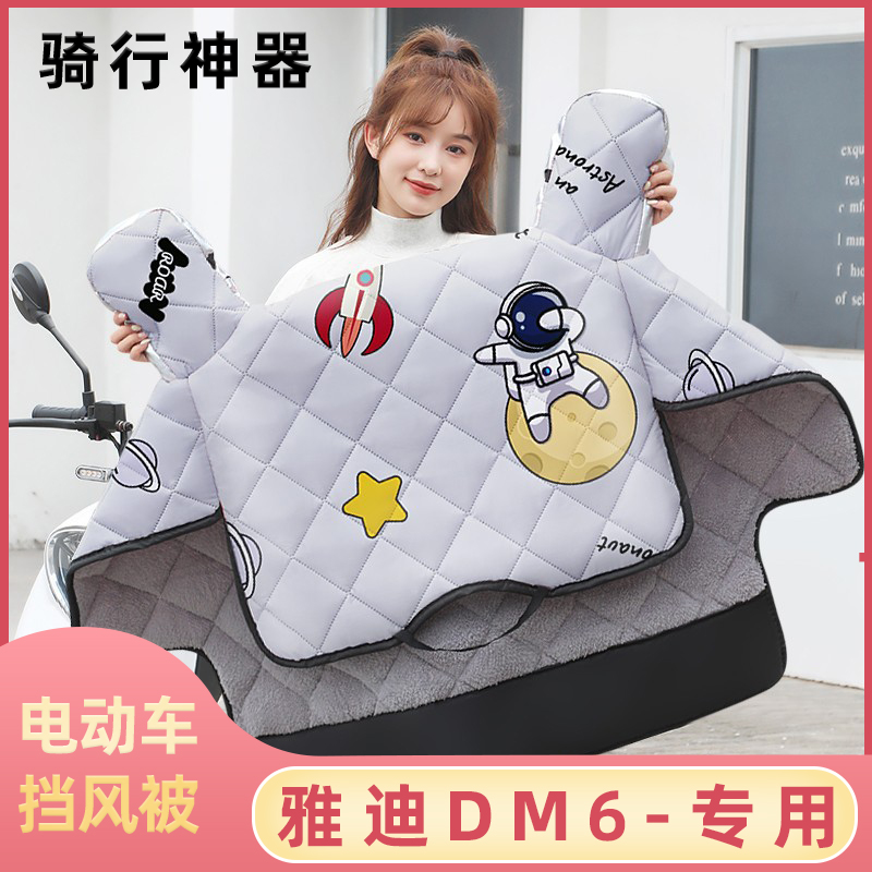 dm6电动车雅迪挡风加绒