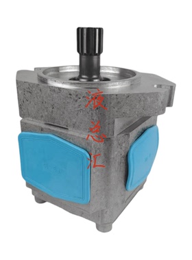 ZHENYUAN 叶片泵890-EI-0800-RS2-C502液压齿轮泵伺服油泵花键泵