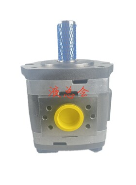 VOITH福伊特IPV 6-80 171 齿轮泵-8/16/32/64/80/100-101/171