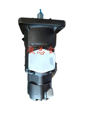 ZHENYUAN液压柱塞泵S-PV2R24-75-136-F-RFRL-VAN 液压油泵