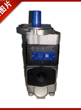 CBHYA-G32/F4.5-ATΦ、ATΦL 原装HCHC合肥长源齿轮油泵