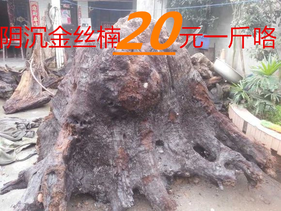 四川阴沉金丝楠木料乌木阴沉全肉不带腐朽产地四川都江堰高油性
