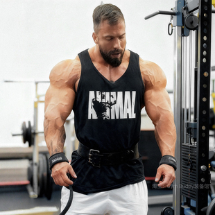 环球野兽背心男健身撸铁显大肌肉硬核美式 T恤ANIMAL运动训练无袖