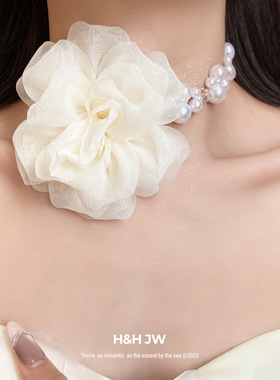 韩国东大门珍珠雪纺花朵项链超仙甜美氛围感锁骨链小众高级感项饰