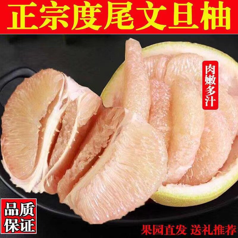 福建度尾文旦柚|热销榜①