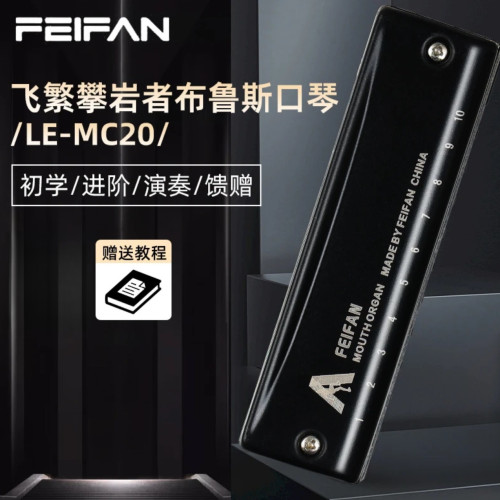 FEIFAN十孔攀岩者C调布鲁斯口琴初学者入门专业成人演奏级蓝调琴