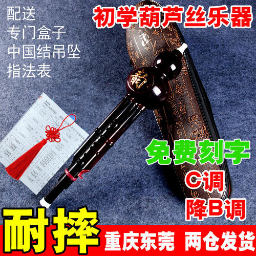 儿童从零起步学葫芦丝乐器学生初学青少年成人初学可选降B调