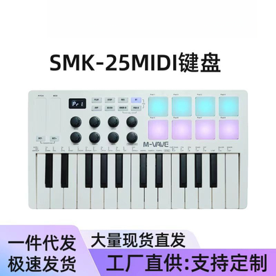 MIDI键盘MIDI控制器便携编曲键盘RGB打击垫键盘推荐