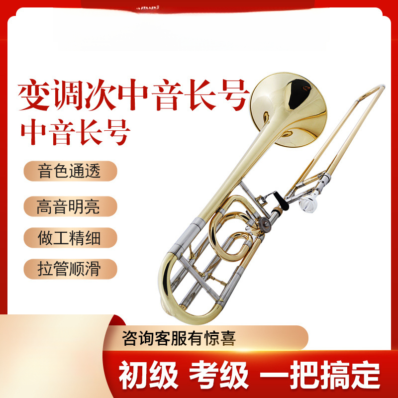 其他专业院校次中音降B调