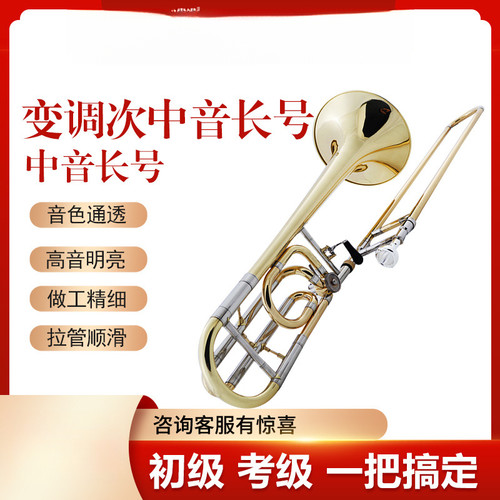 其他专业院校次中音降B调