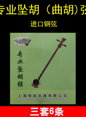 河南坠子坠胡弦专业曲胡琴弦坠胡琴弦套弦朝阳鸟乐器配件P发