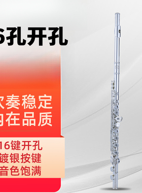 16开孔长笛管乐器白铜按键E键分割C调镀银演奏成人学生考级
