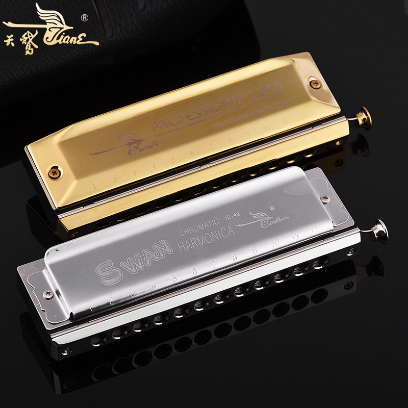 天鹅正品经典半音阶口琴12孔48音SW1248配精致琴盒初学演奏实用型