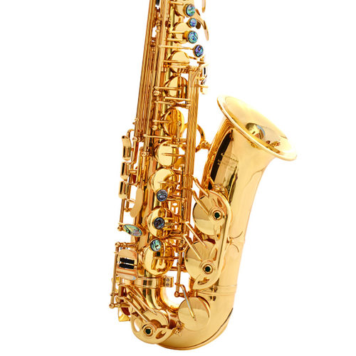 双键筋中音萨克斯降E调儿童初学成人考级演奏saxophone