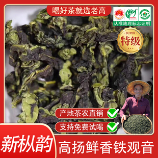 特级新枞安溪铁观音清香型兰香高山茶手工茶2025新茶乌龙茶茶叶