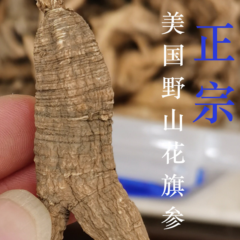 正宗美国野山花旗参野生花旗参50克 进口西洋参段整枝野生西洋参