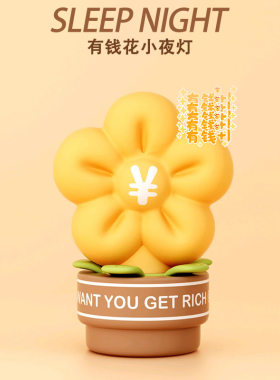 有钱花小夜灯女生生日礼物