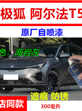 适用极狐阿尔法T5海岩灰色自喷漆汽车划痕修复原厂车漆白色补漆笔