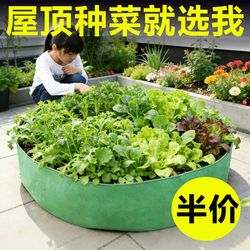 种植袋美植袋种菜专用盆特大楼顶美植袋种植袋特大家用种植盆布袋