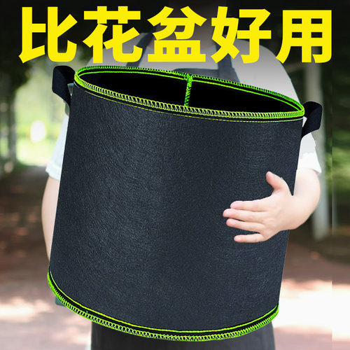 美植袋加厚无纺布种植袋黑色种树专用袋植树袋育苗袋出口加仑阳台 - 封面