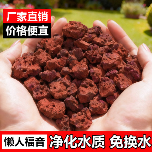 火山石颗粒花卉绿植铺面垫底兰花多肉营养土养龟鱼缸专用火山岩