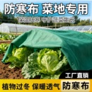 菜地专用防寒布加厚防寒防冻保暖布透气保湿 防风挡风布无纺土工布
