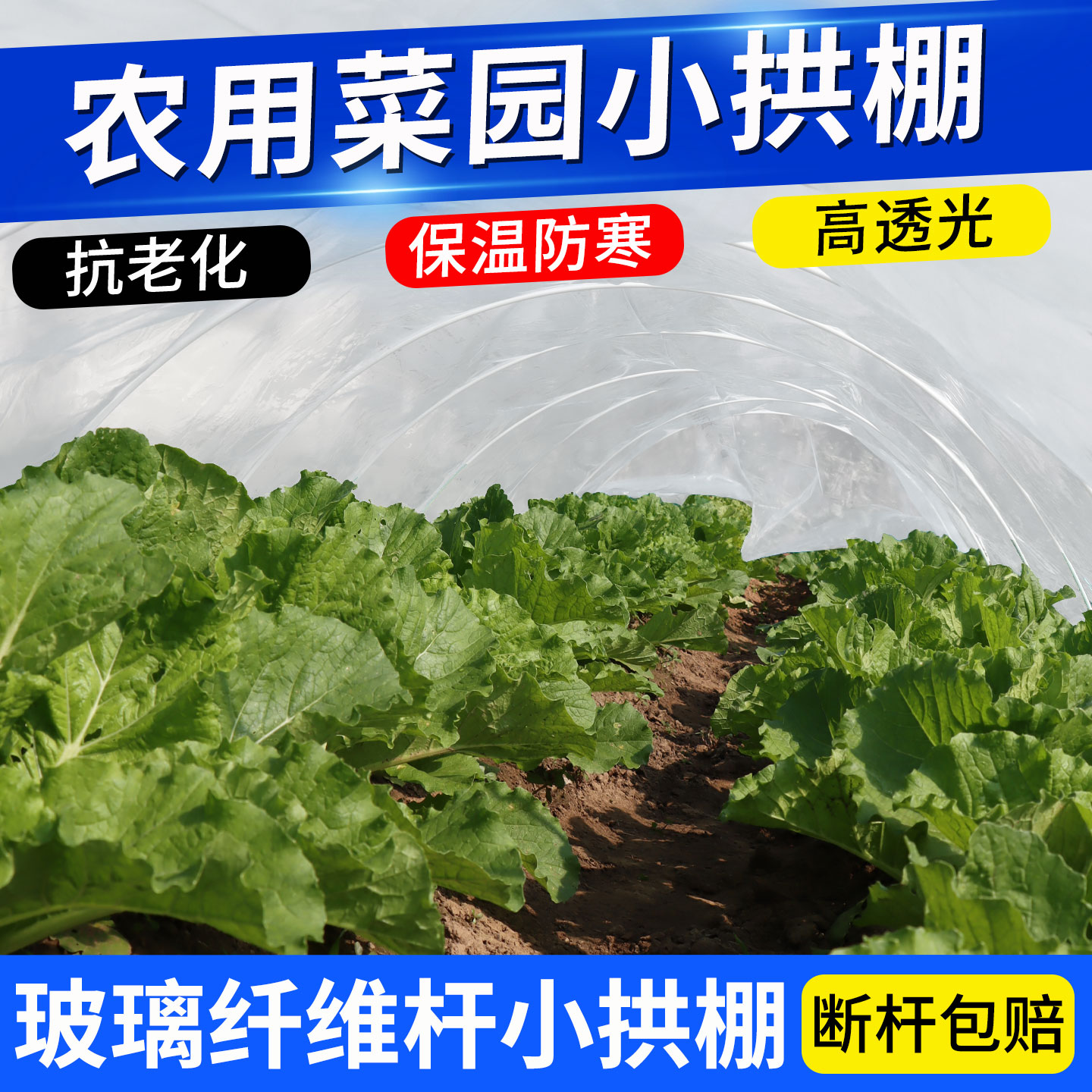 农用菜园小拱棚支架玻璃纤维杆带膜蔬菜保温棚防寒高透光菜地塑料