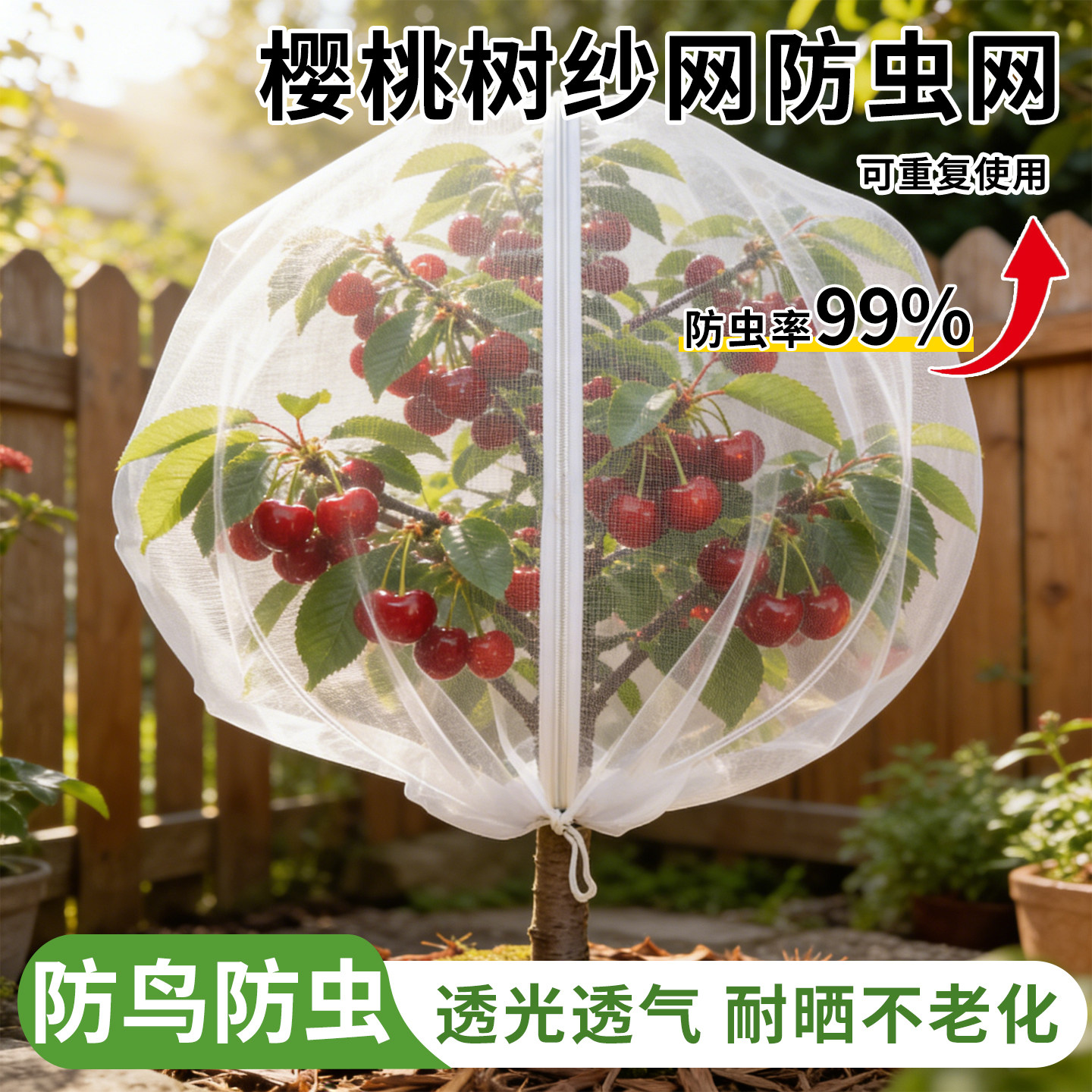 防虫网罩樱桃专用防鸟防虫网袋蓝莓嘉宝果杨梅枇杷树防果蝇网袋子