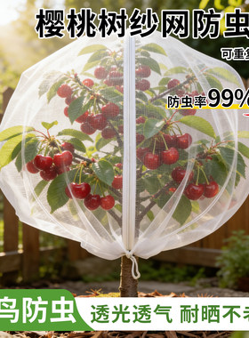 防虫网罩樱桃专用防鸟防虫网袋蓝莓嘉宝果杨梅枇杷树防果蝇网袋子