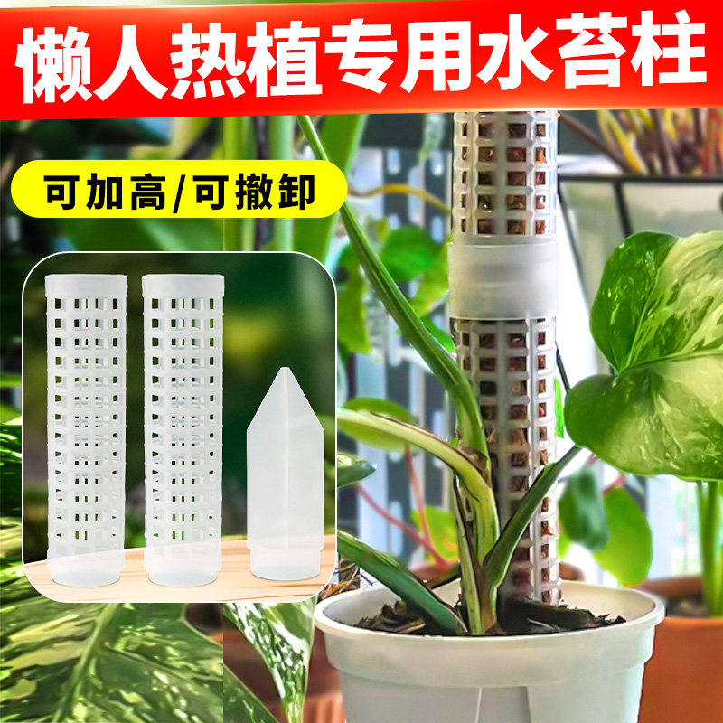龟背竹专用水苔柱新型图片