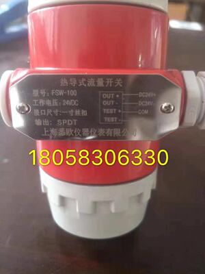 热导式消防流量开关FSW-15 25 100屋顶消防水箱流量开关 开关表头