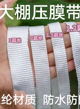 新品温室大棚专用白色压膜带扁带加厚涤纶耐高温防老化耐用固定绳