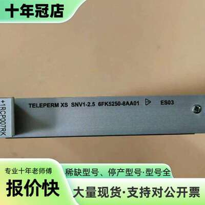 维修TELEPERM XS SNV1-2.5 6FK5250-8议价