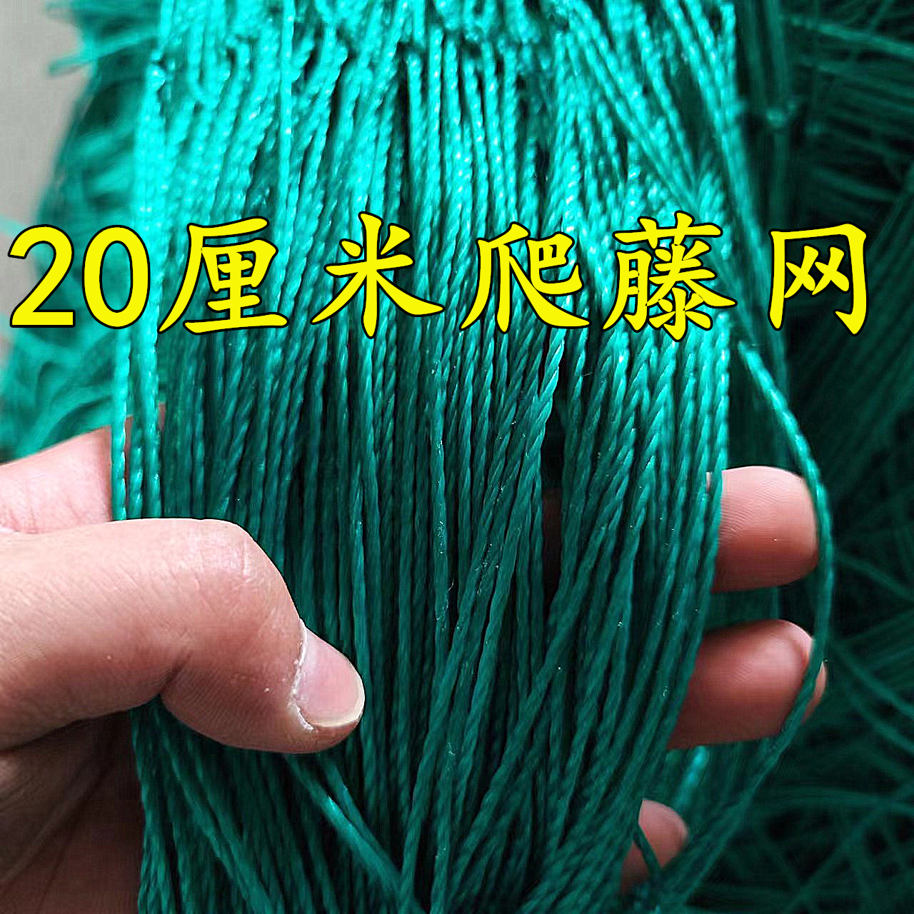 20厘米聚乙烯黄瓜架小香葱爬藤网