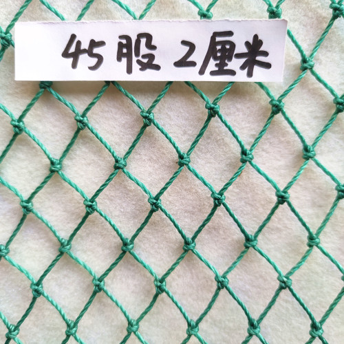 2厘米网眼防鸟网果园养鸡网养殖