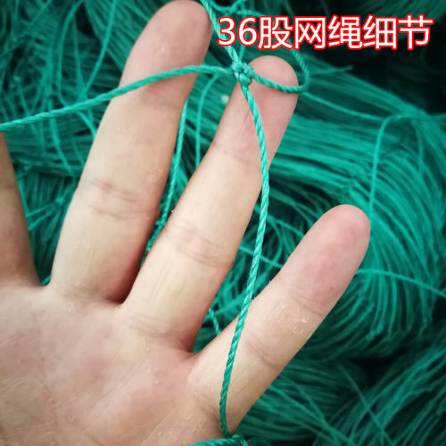 10厘米百香果爬藤网菊花网方格网