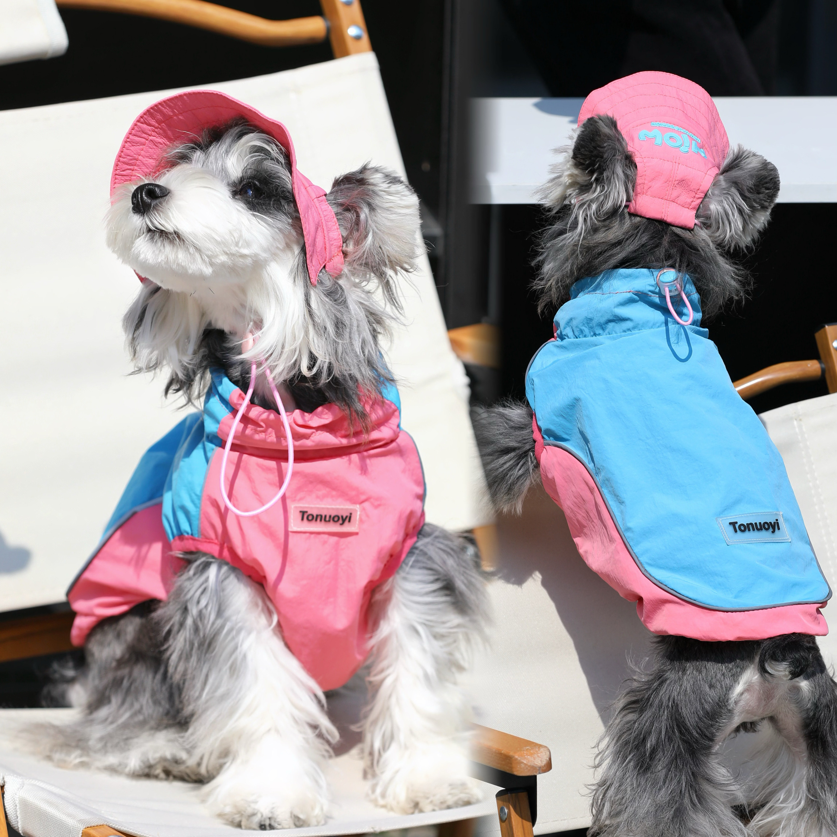 宠物小型犬夏季防紫外线泰迪比熊博美衣服防晒衣服薄款撞色大型犬