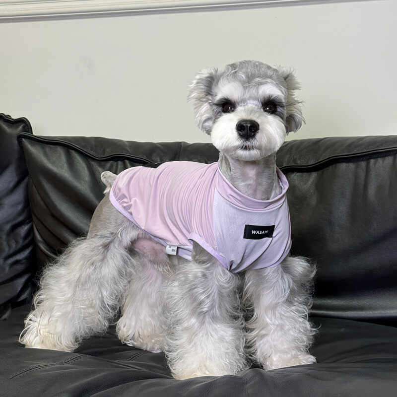 狗狗衣服小型犬雪纳瑞泰迪比熊夏季薄款凉凉衣宠物透气夏装狗背心