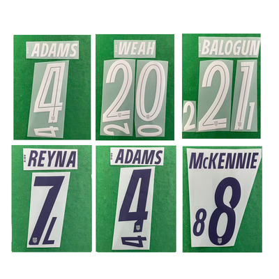 2026美国印字21号维阿10号普利希奇8号麦肯尼主客场热转印印字