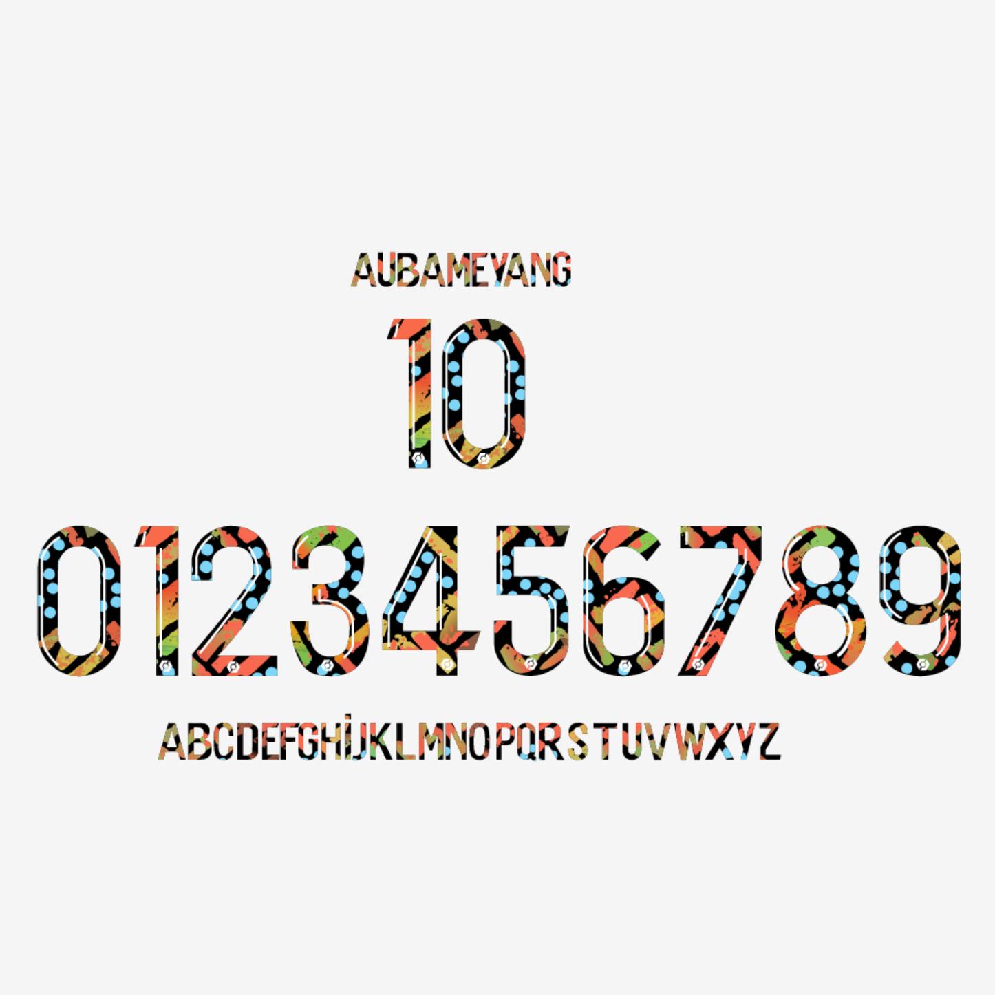 马赛南非纪念版OM AFRICA Nameset10号奥巴梅杨热转印印号印字