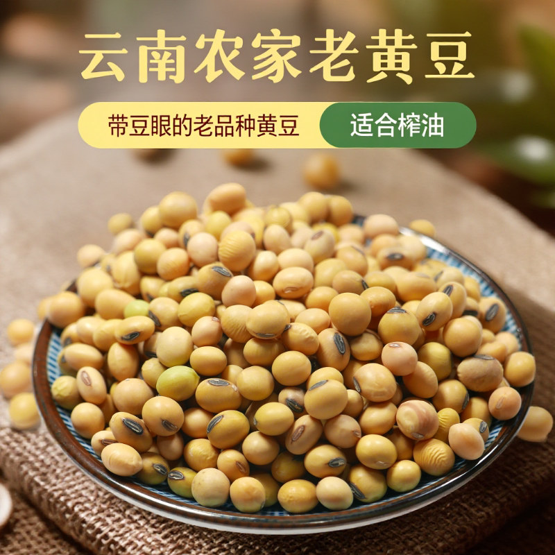 黄豆云南农家山地土黄豆笨黄豆豆子认准黑脐豆子新豆500克杂粮