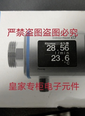 E+H Picomag电磁流量计 DMA15-AAAAA1 AAABA1 AAACA1 AAADA1询价