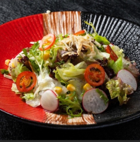 新中日本式料理圆形水果色沙拉盘刺身盘冷凉菜碟炸猪排盘陶瓷餐具