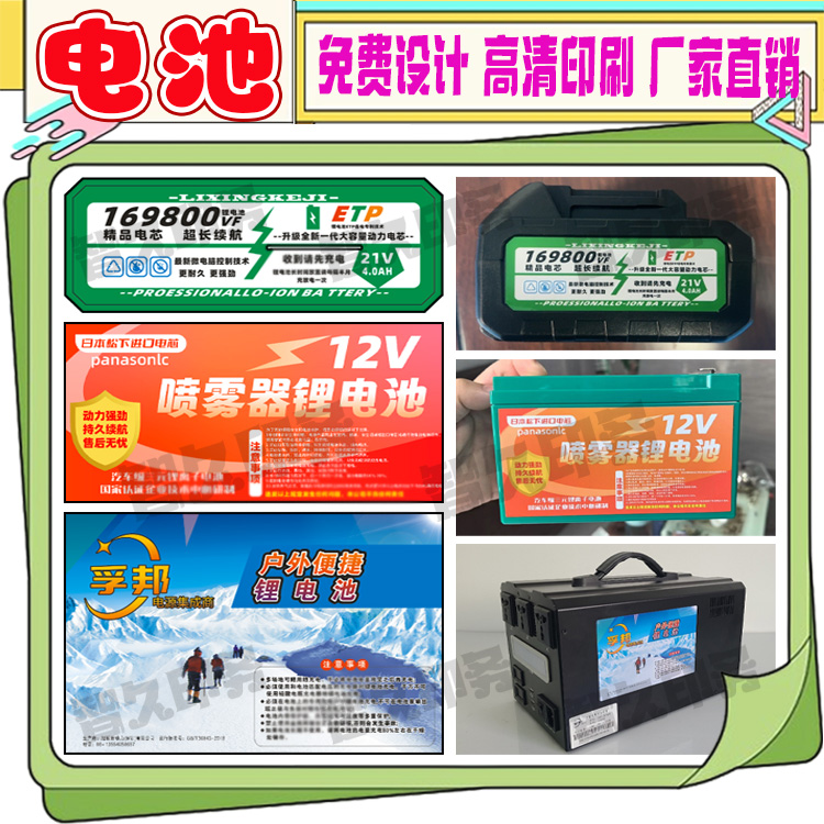 定制电动车锂电池不干胶标签电瓶警示说明哑银龙耐高温商标设计