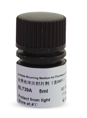 Biosharp  BL739A  抗荧光淬灭封片剂(含DAPI)  5ml