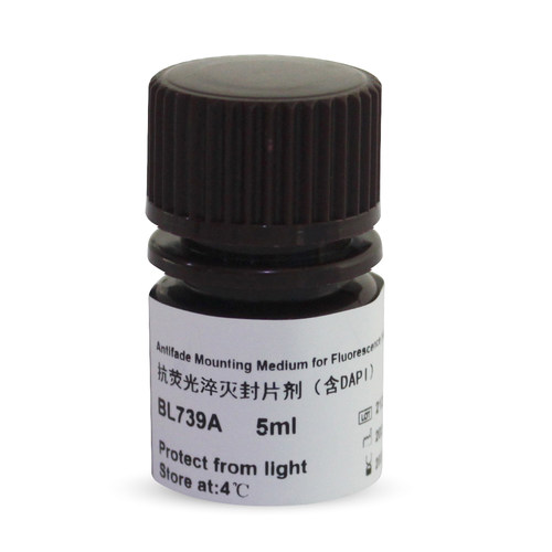BiosharpBL739A抗荧光淬灭封片剂