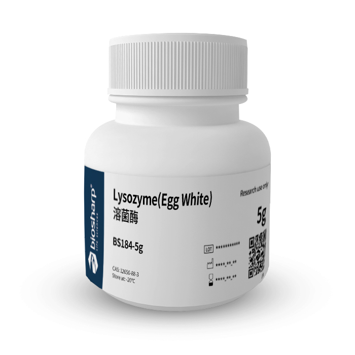 溶菌酶/LysozymeBS184Biosharp