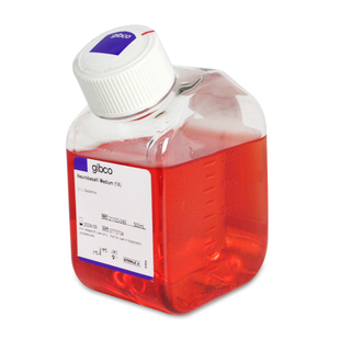 Gibco实验试剂 049 Neurobasal培养基 500ml 21103