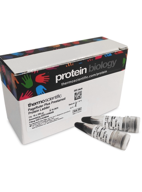 Fermentas 26620试剂PageRule Plus Prestained Protein 10x250ul